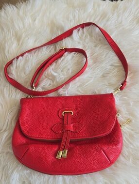 Sleek Red Pebbled Leather Crossbody Bag with Gold Trim